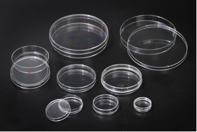 Cell Culture Dish, Polystyrene, Sterile | KIRGEN