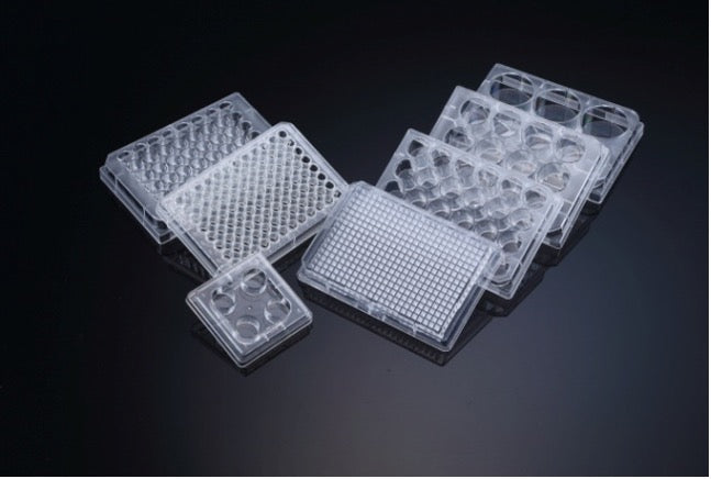 Cell Culture Plate, Polystyrene, Sterile, Individual Pack | KIRGEN