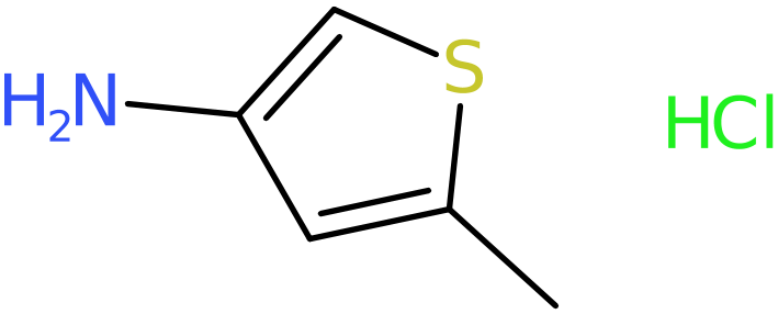 CAS: 24030-01-1 | 5-Methylthiophen-3-amine hydrochloride, >97%, NX36873