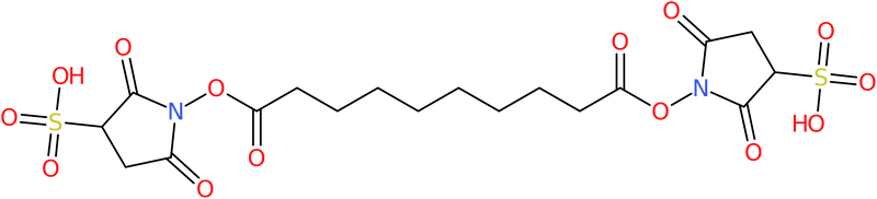 Bis(sulphosuccinimidyl)sebacate, NX72150