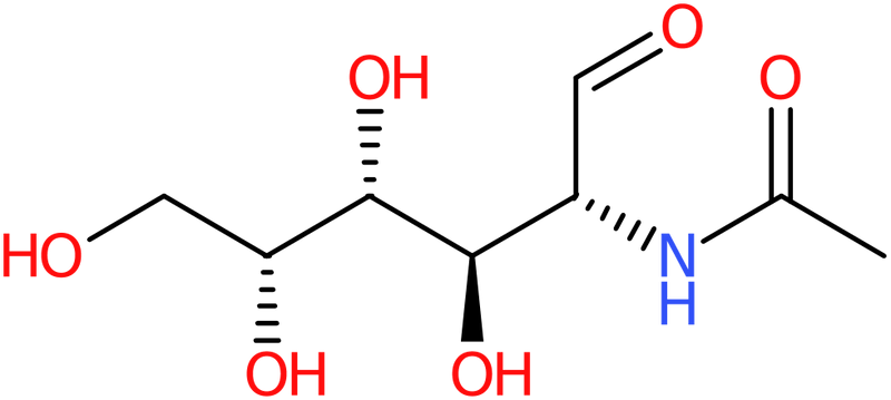 CAS: 1811-31-0 | N-Acetyl-D-galactosamine, >98%, NX30375