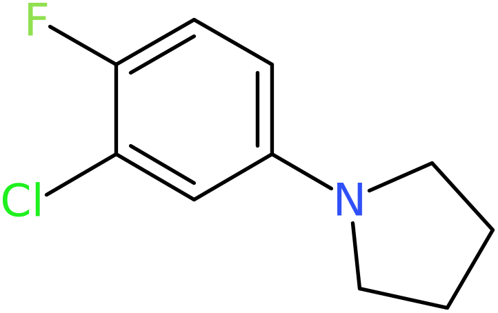 CAS: 1000339-33-2 | 1-(3-Chloro-4-fluorophenyl)pyrrolidine, NX10098