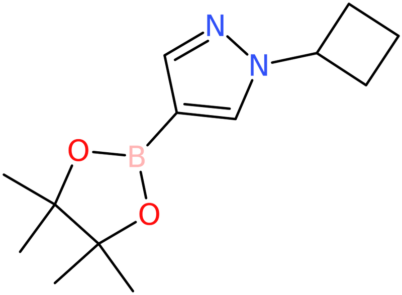 CAS: 1002309-48-9 | 1-Cyclobutyl-1H-pyrazole-4-boronic acid pinacol ester, NX10324