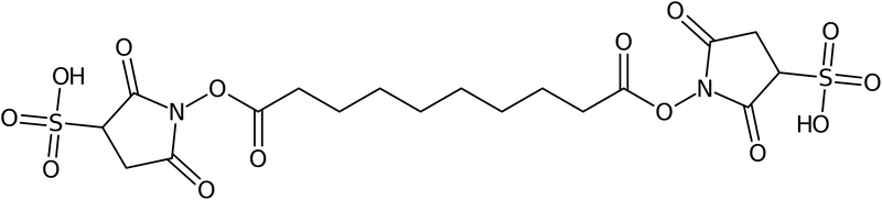 Bis(sulphosuccinimidyl)sebacate, NX72150