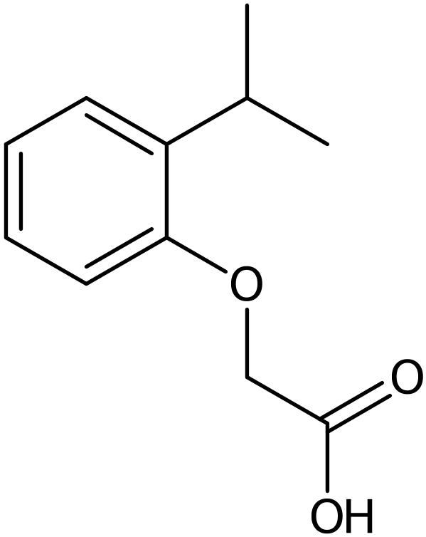CAS: 25141-58-6 | (2-Isopropyl-phenoxy)-acetic acid, >95%, NX37644