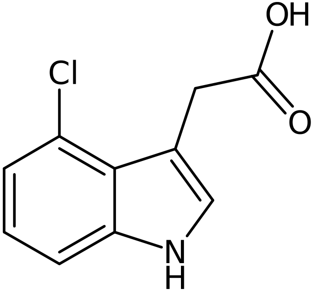 CAS: 2519-61-1 | 4-Chloroindole-3-acetic acid, NX37702