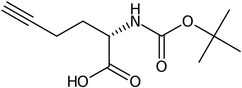 CAS: 208522-16-1 | Boc-L-homopropargylglycine, NX33750