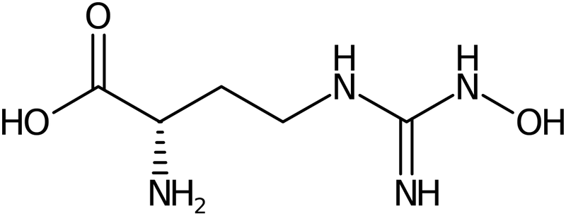 CAS: 189302-40-7 | N-omega-Hydroxy-L-norarginine, NX31592