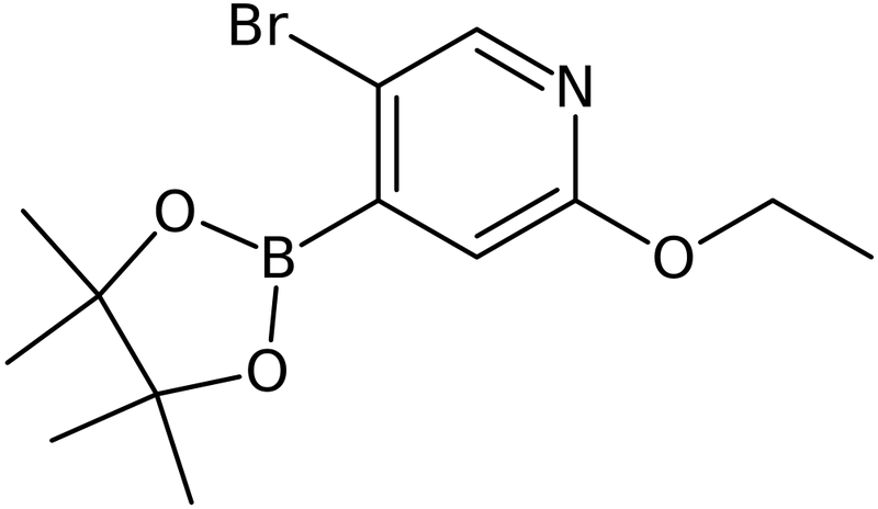 5-Bromo-2-ethoxy-4-(4,4,5,5-tetramethyl-1,3,2-dioxaborolan-2-yl)pyridine, >97%, NX74311