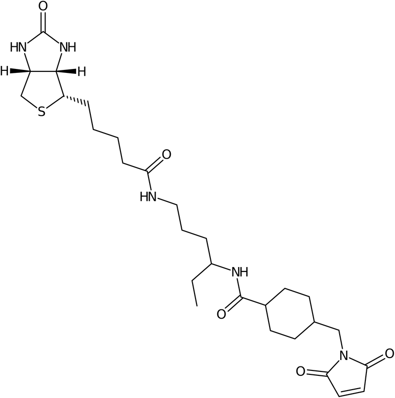 (1-Biotinamido)-4-[4&