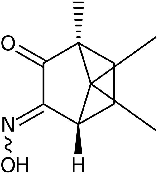 CAS: 251645-83-7 | (1S,E)-(-)-Camphorquinone 3-oxime, >95%, NX37688
