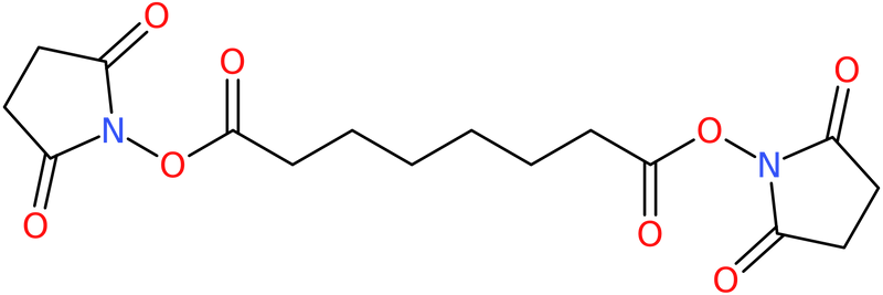 CAS: 68528-80-3 | Disuccinimidyl suberate, NX58222
