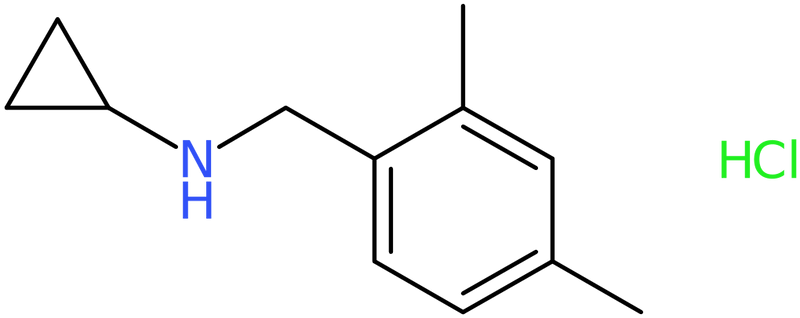 CAS: 1257535-57-1 | N-(2,4-Dimethylbenzyl)cyclopropylamine hydrochloride, NX19239