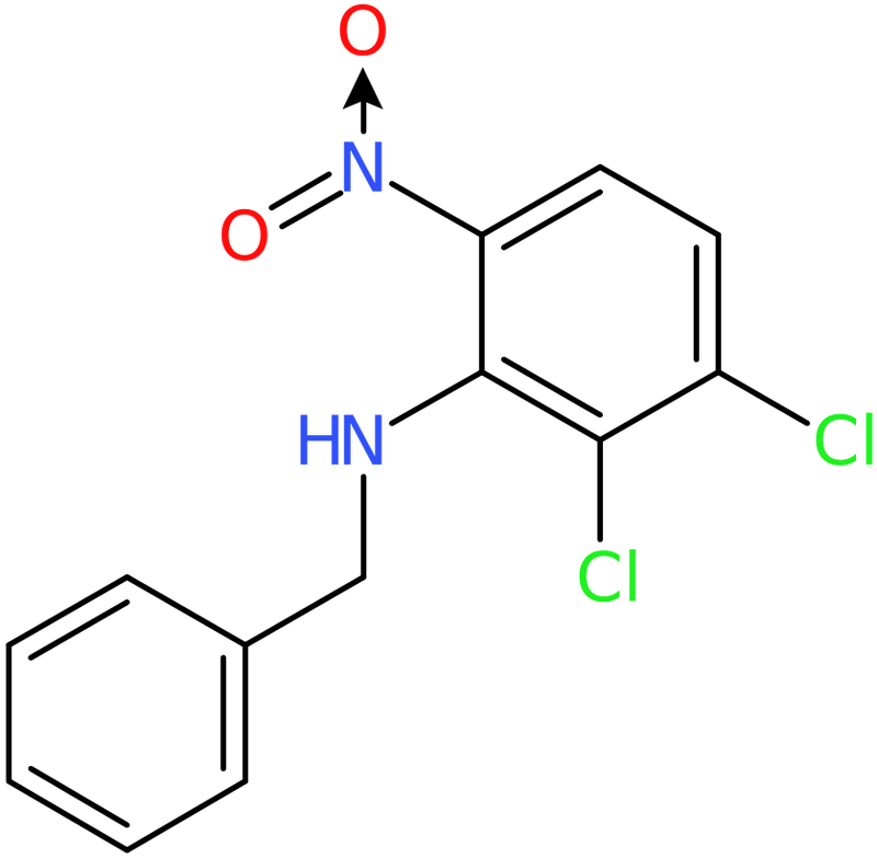 CAS: 680212-51-5 | N-Benzyl-2,3-dichloro-6-nitroaniline, NX58000