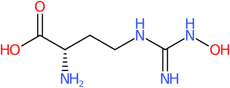 CAS: 189302-40-7 | N-omega-Hydroxy-L-norarginine, NX31592
