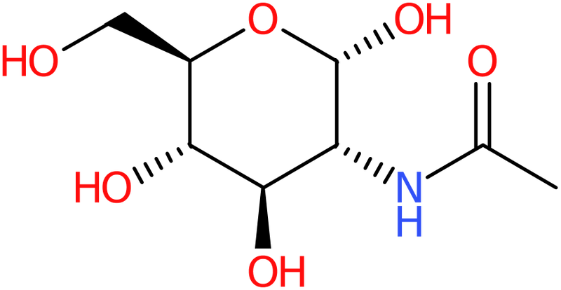 CAS: 10036-64-3 | 2-Acetamido-2-deoxy-alpha-D-glucopyranose, NX10411