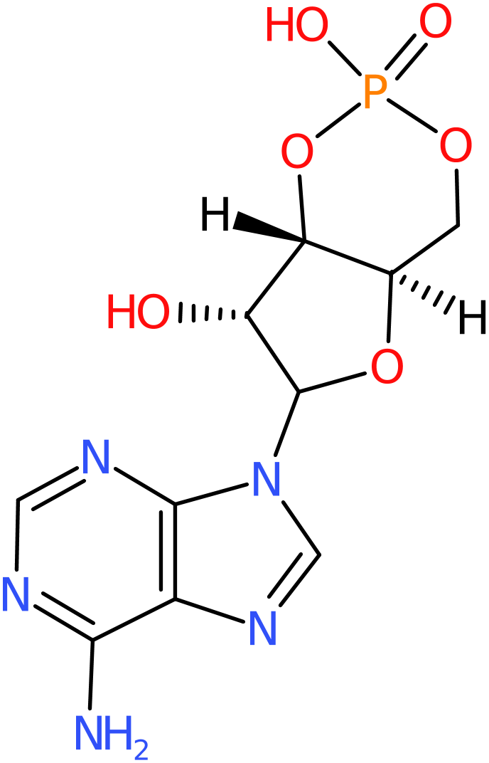 CAS: 60-92-4 | Adenosine 3&