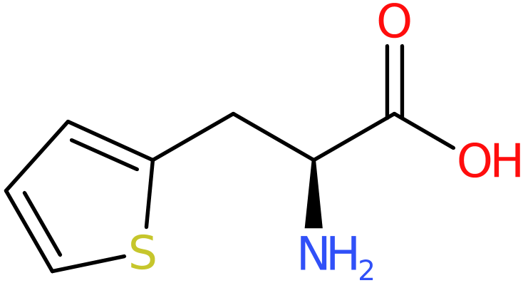 CAS: 22951-96-8 | 3-Thien-2-yl-L-alanine, >95%, NX35942