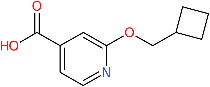 CAS: 1235440-03-5 | 2-(Cyclobutylmethoxy)isonicotinic acid, NX18495