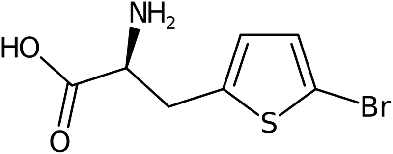 CAS: 154593-58-5 | 3-(5-Bromothien-2-yl)-L-alanine, >97%, NX26165