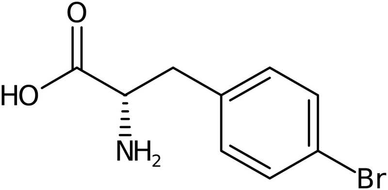 CAS: 24250-84-8 | 4-Bromo-L-phenylalanine, >95%, NX37062