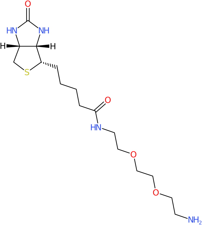 CAS: 138529-46-1 | Biotin-PEG2-Amine, NX22963
