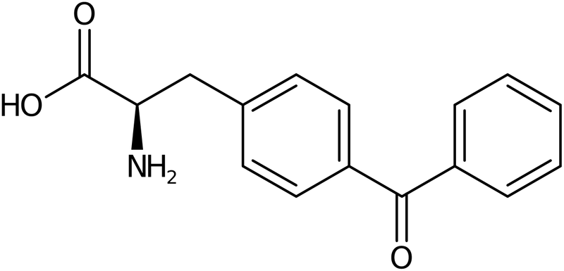 CAS: 201466-03-7 | 4-Benzoyl-D-phenylalanine, >97%, NX32873