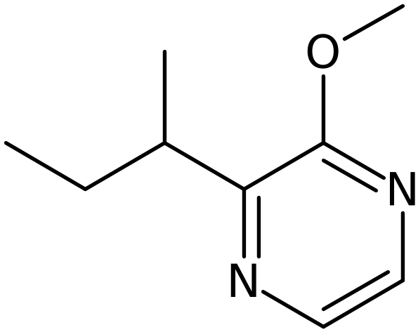 CAS: 24168-70-5 | 2-sec-Butyl-3-methoxypyrazine, NX37017