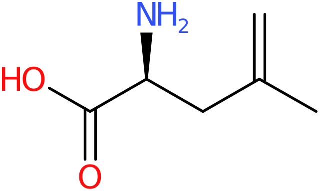 CAS: 87392-13-0 | (S)-2-Methallylglycine, >97%, NX65406