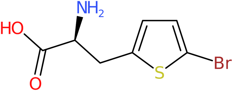 CAS: 154593-58-5 | 3-(5-Bromothien-2-yl)-L-alanine, >97%, NX26165