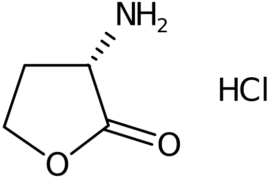 CAS: 2185-03-7 | L-Homoserine lactone hydrochloride, >98%, NX34822