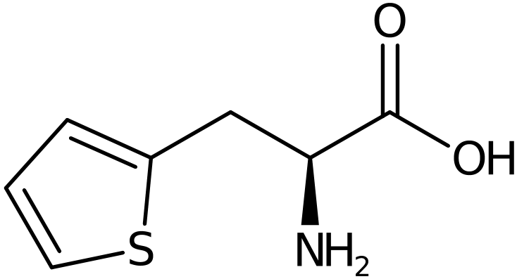 CAS: 22951-96-8 | 3-Thien-2-yl-L-alanine, >95%, NX35942