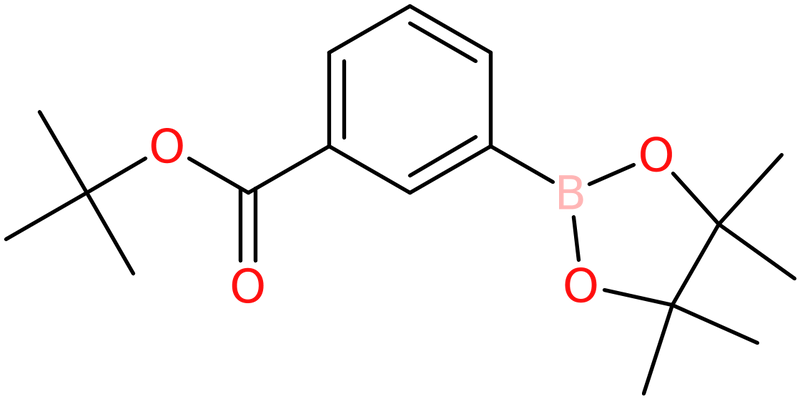 CAS: 903895-48-7 | 3-tert-Butoxycarbonylphenylboronic acid, pinacol ester, >97%, NX67911