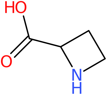 CAS: 2517-04-6 | Azetidine-2-carboxylic acid, >98%, NX37692