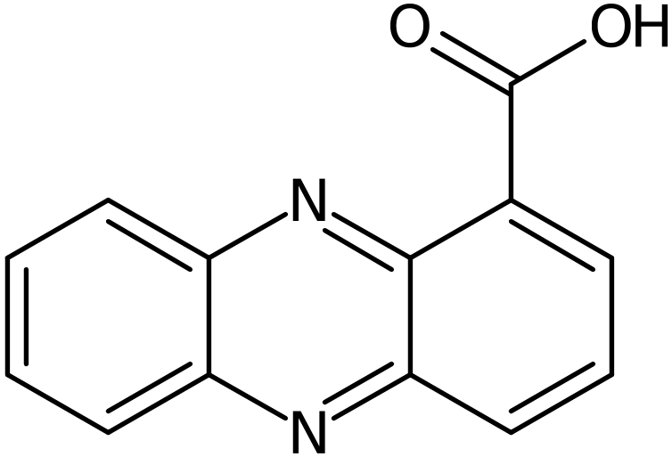 CAS: 2538-68-3 | Phenazine-1-carboxylic acid, NX37865
